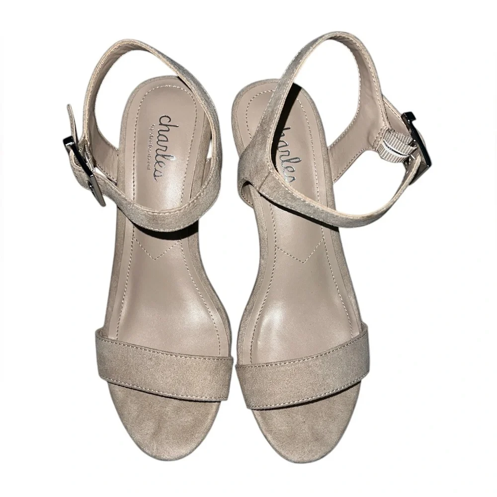 Charles By Charles David Woman's Wedge Sandals Size 6